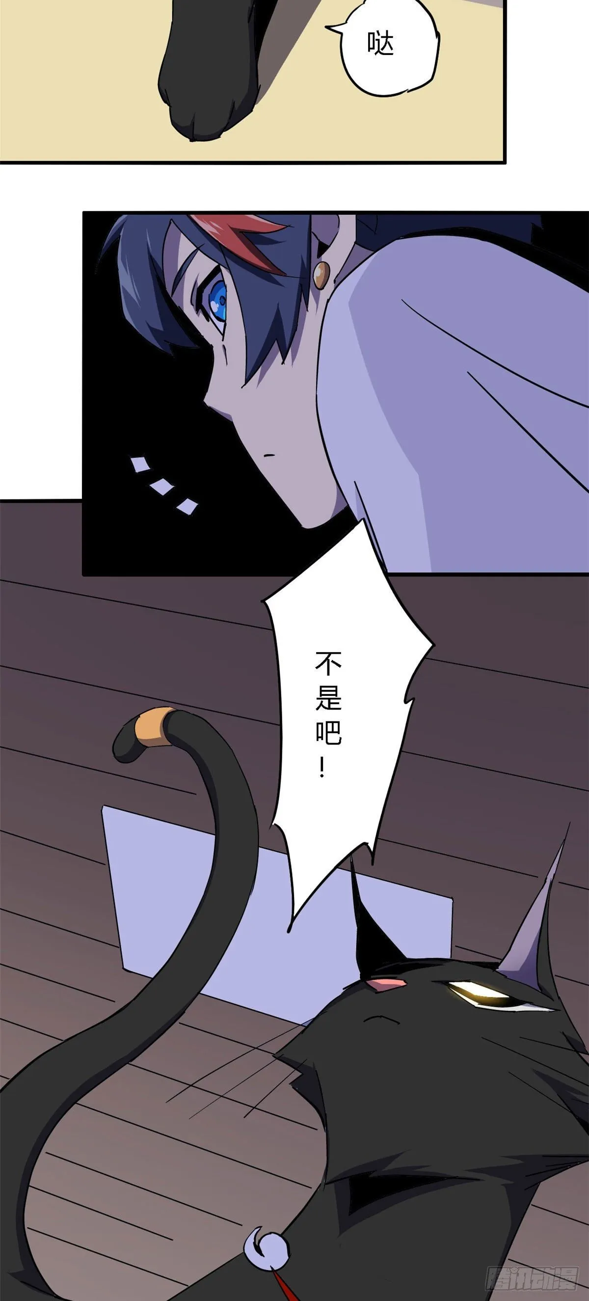 11 爱猫人士表示谴责 第16页