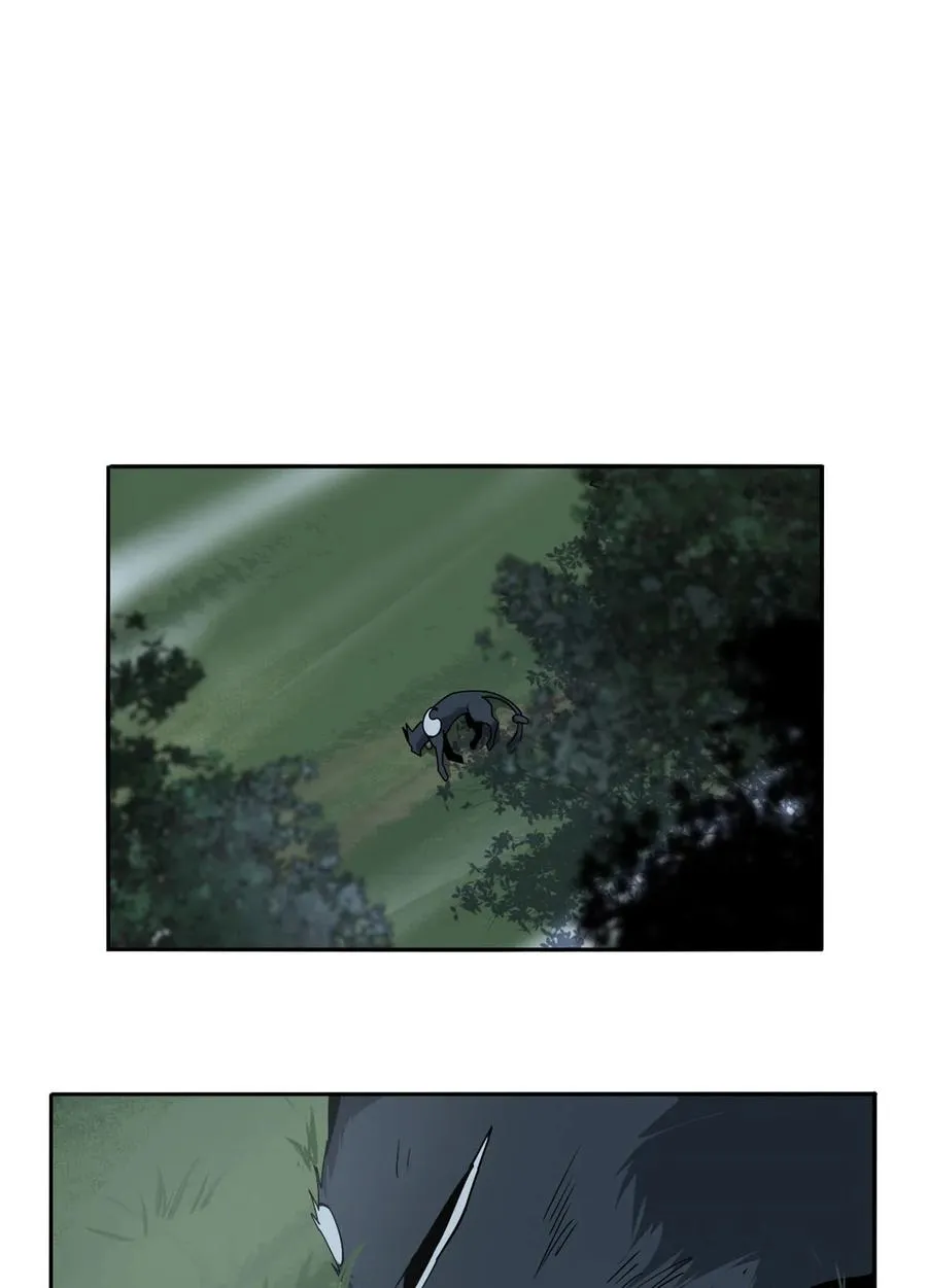 66 猫哥说话了！ 第2页
