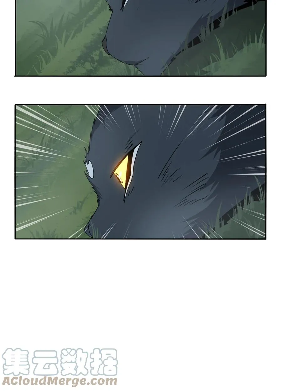 66 猫哥说话了！ 第3页
