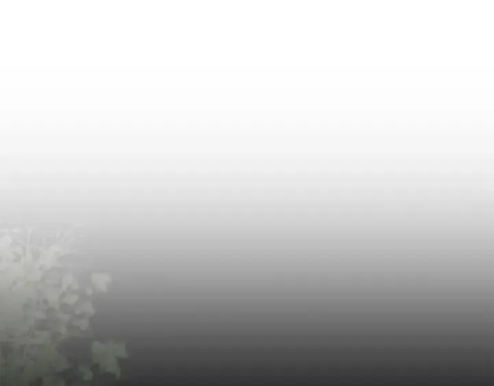 第50话 别皱眉了 第62页