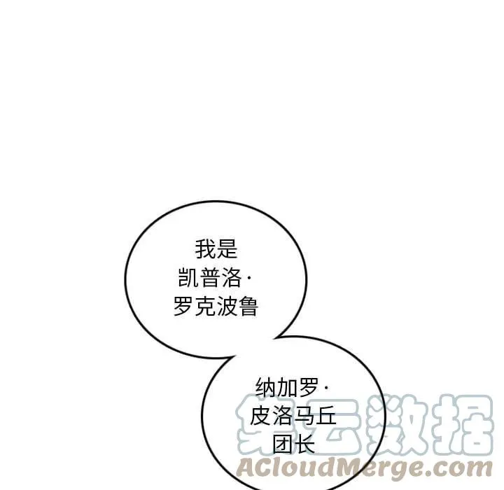 74 第113页