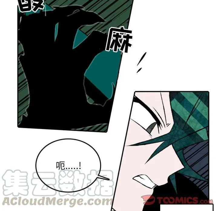 25 第13页