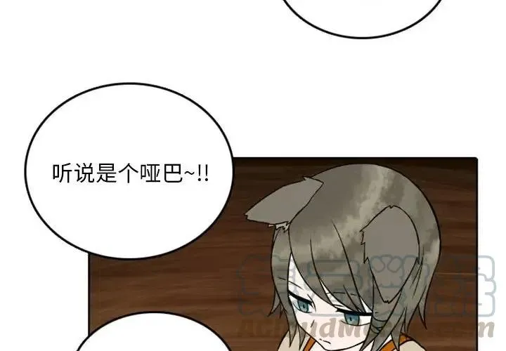 41 第4页