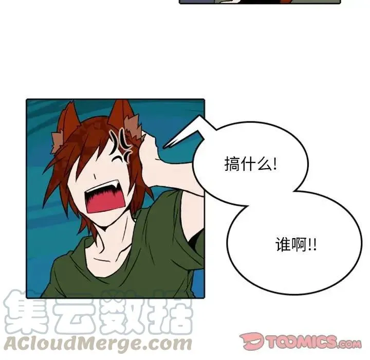 41 第7页