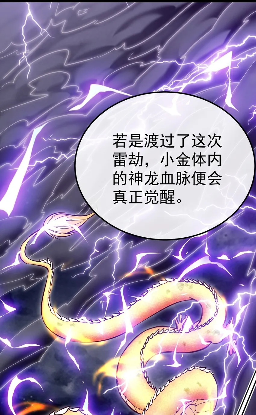 303 小金的雷劫 第9页