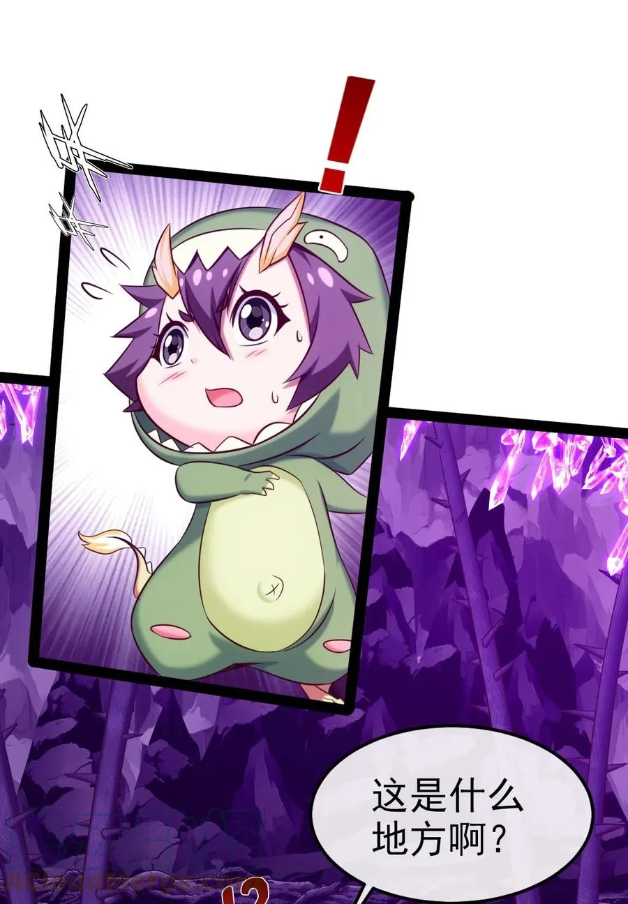 255 禁地里有棺……棺材！ 第11页