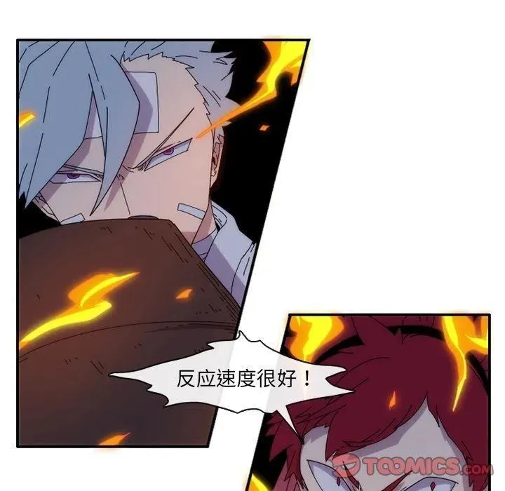 13 第36页
