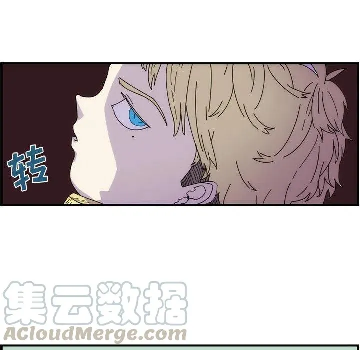 11 第13页