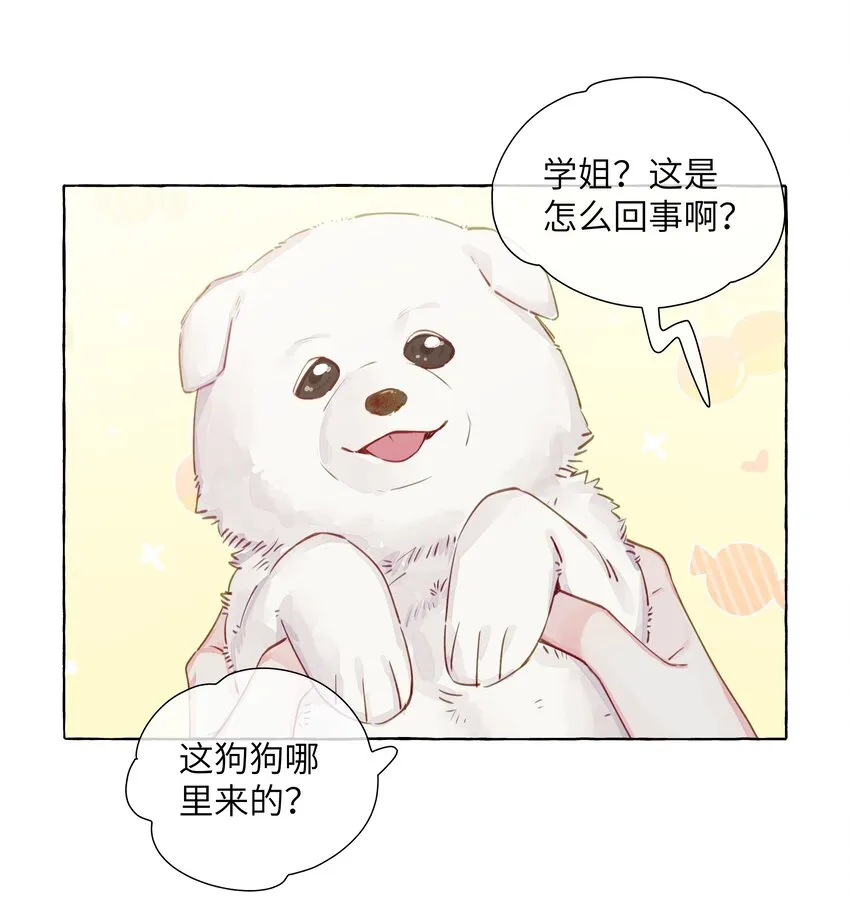 100 学姐的小狗 第2页