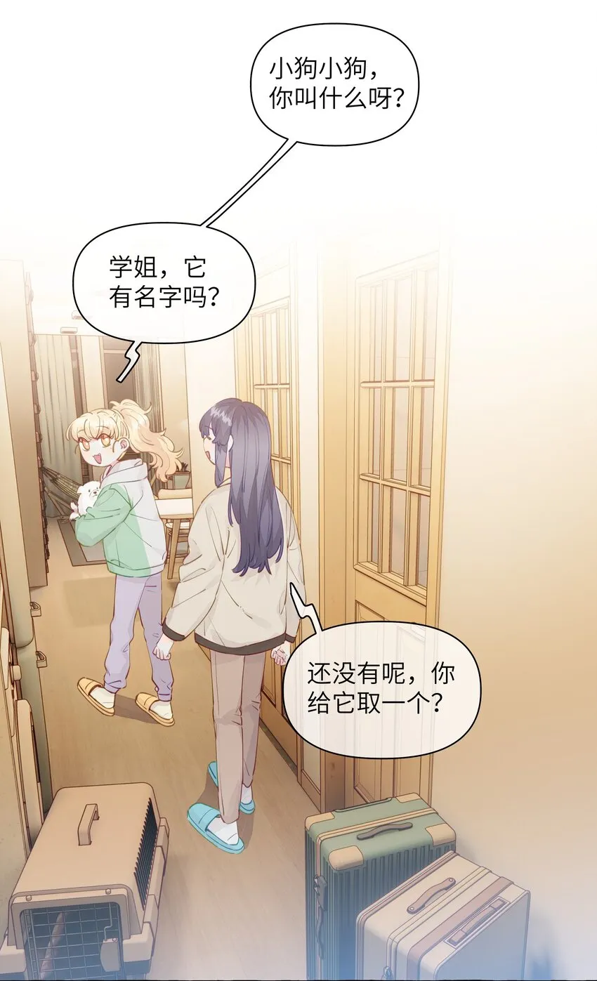 100 学姐的小狗 第7页