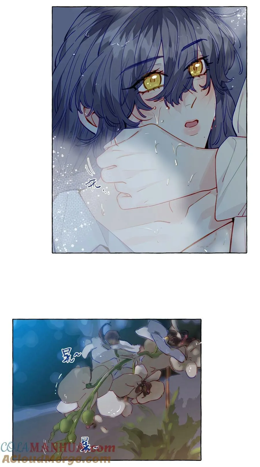 125 小狗 第15页