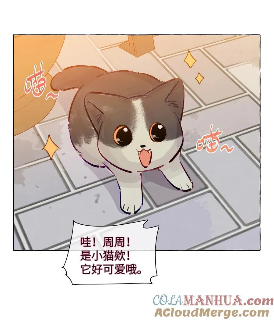 132 就叫它，周思映吧 第29页