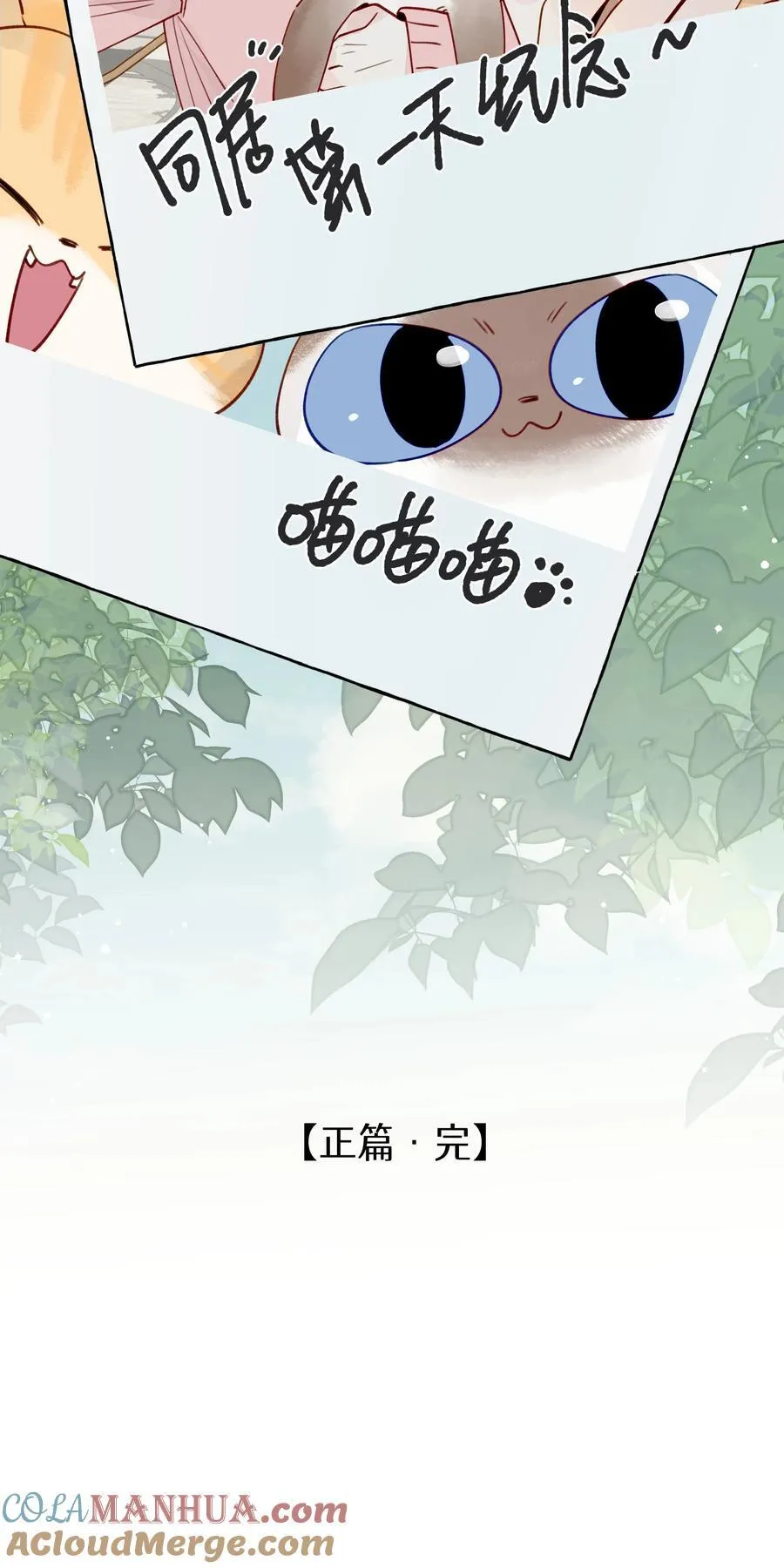 132 就叫它，周思映吧 第37页