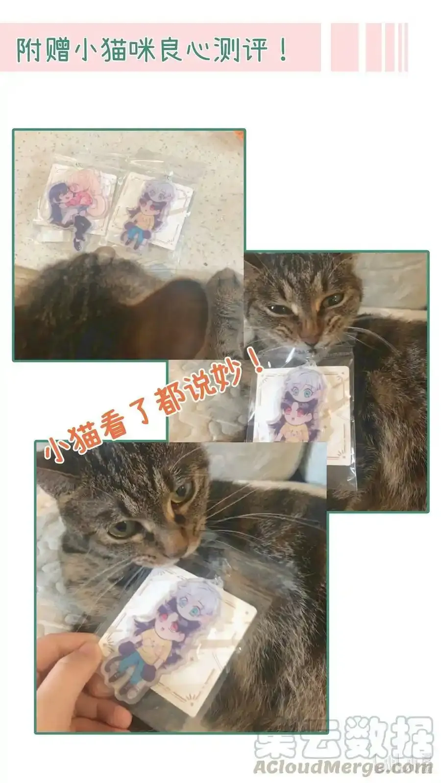 开奖！ 中奖名单来啦—— 第4页