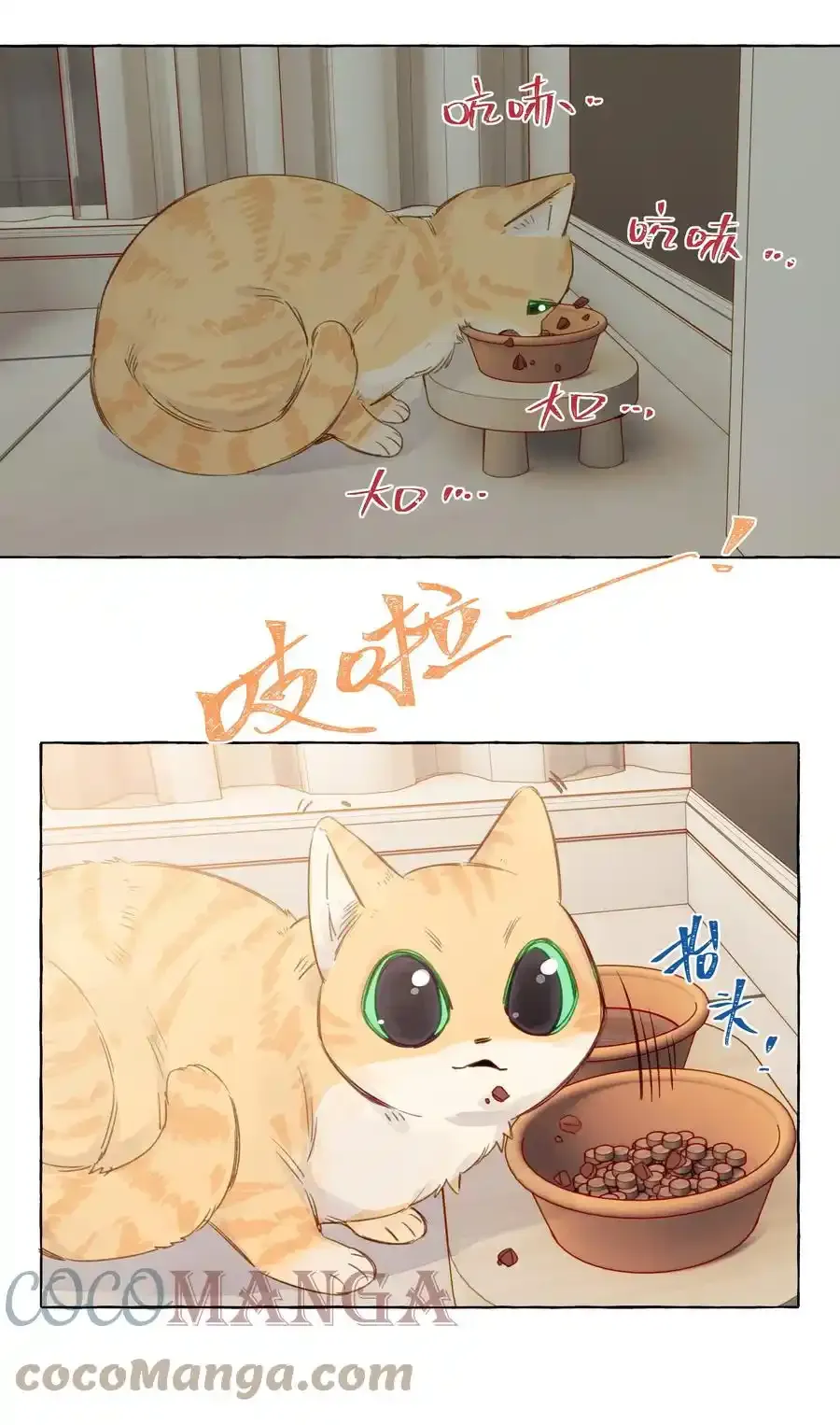 079 不是谁都这么幸运的 第11页