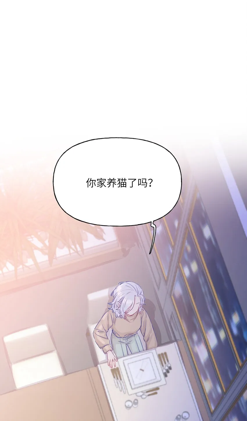 002 原来是猫啊…… 第2页