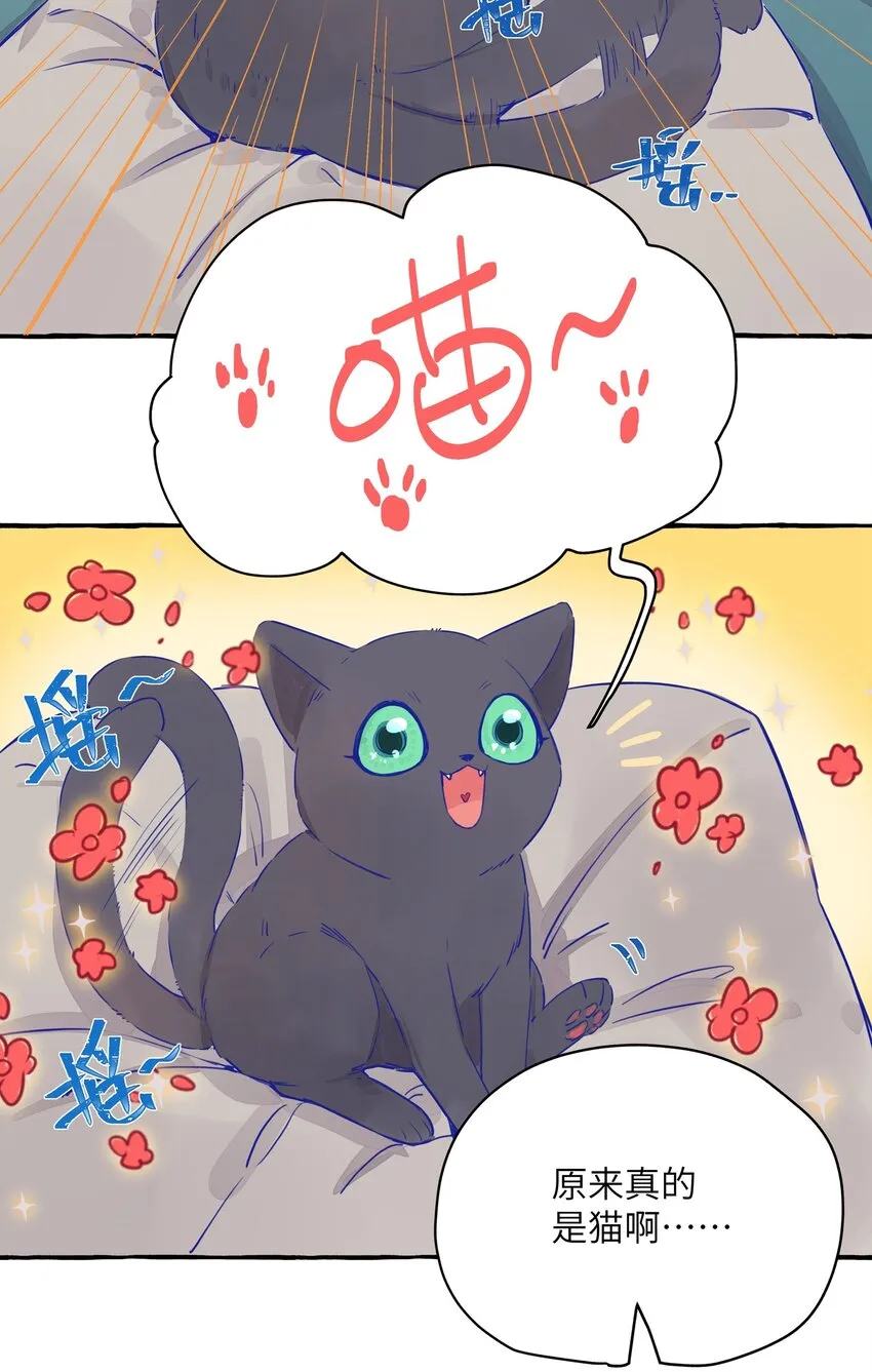 002 原来是猫啊…… 第8页