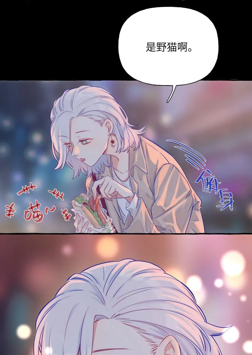 002 原来是猫啊…… 第17页