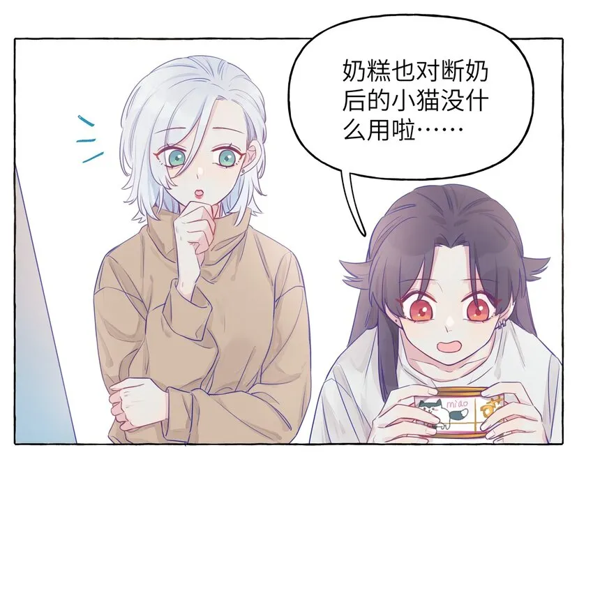 003 能成为你怀里的猫就好了 第6页