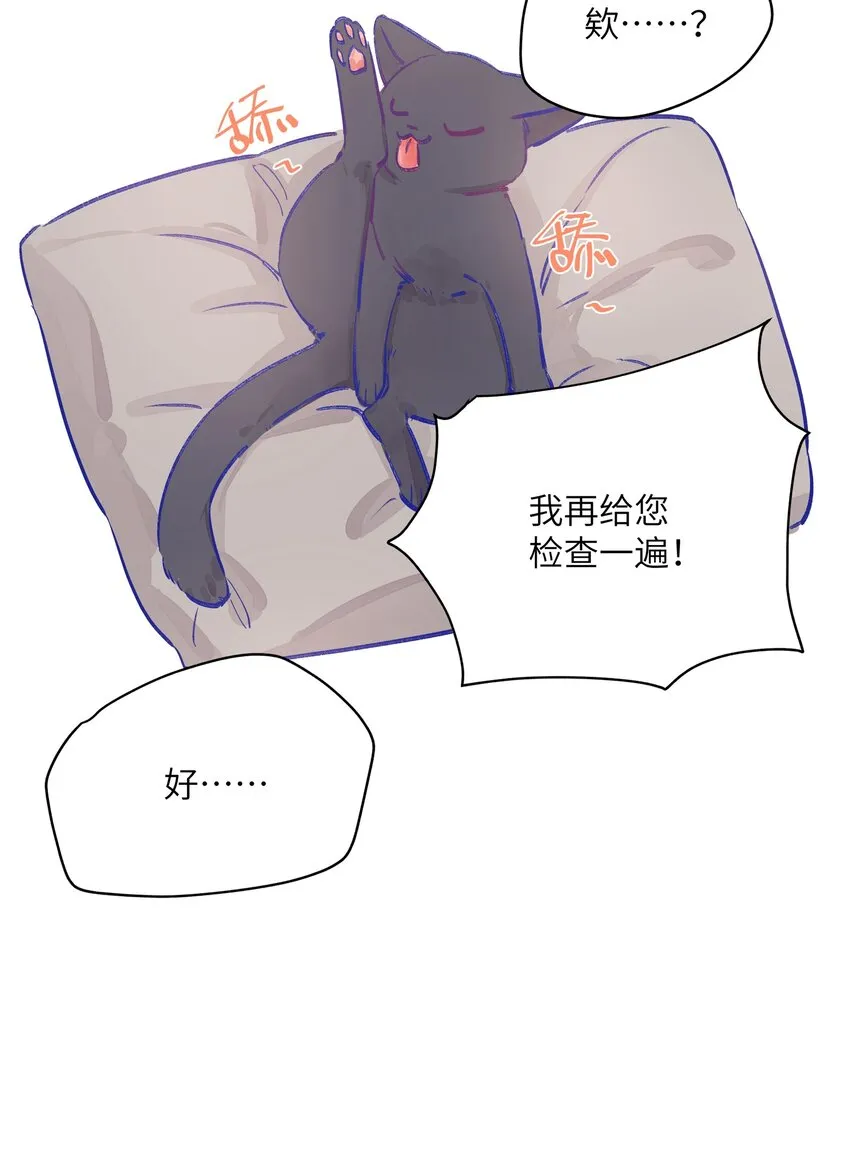 003 能成为你怀里的猫就好了 第11页
