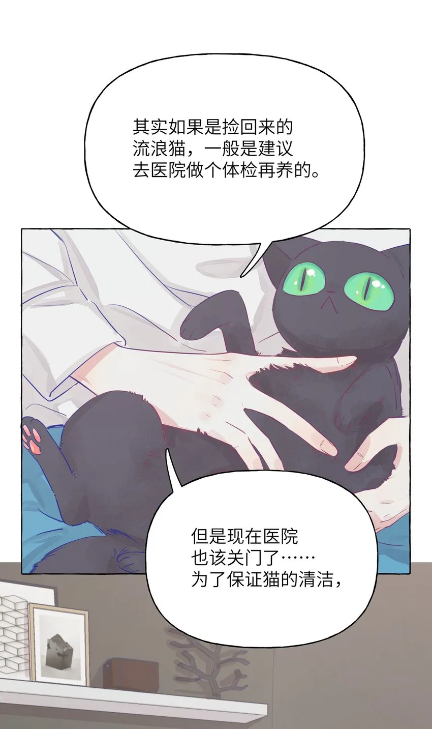 003 能成为你怀里的猫就好了 第12页
