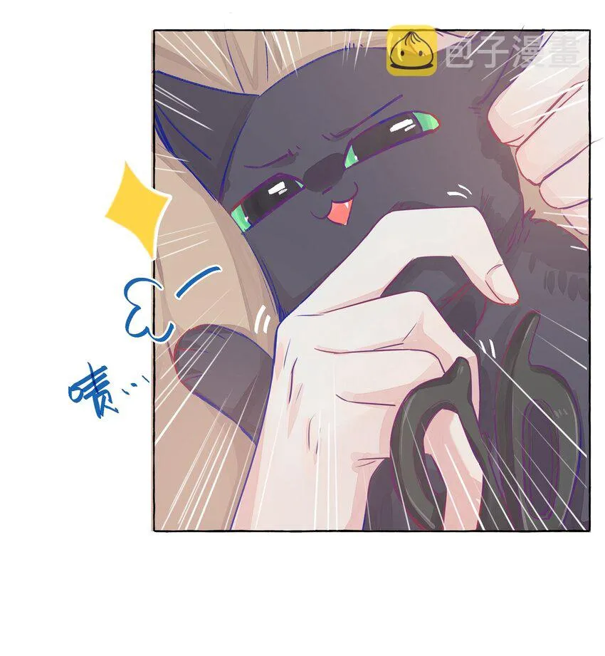 003 能成为你怀里的猫就好了 第21页