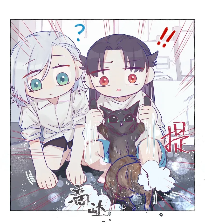 003 能成为你怀里的猫就好了 第26页