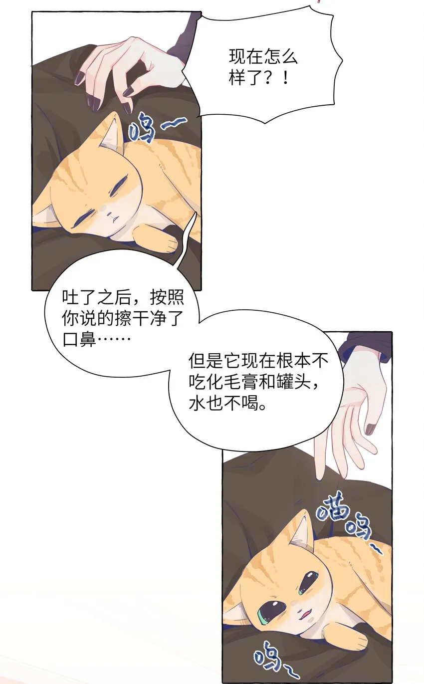 022 深夜的紧急时刻 第3页