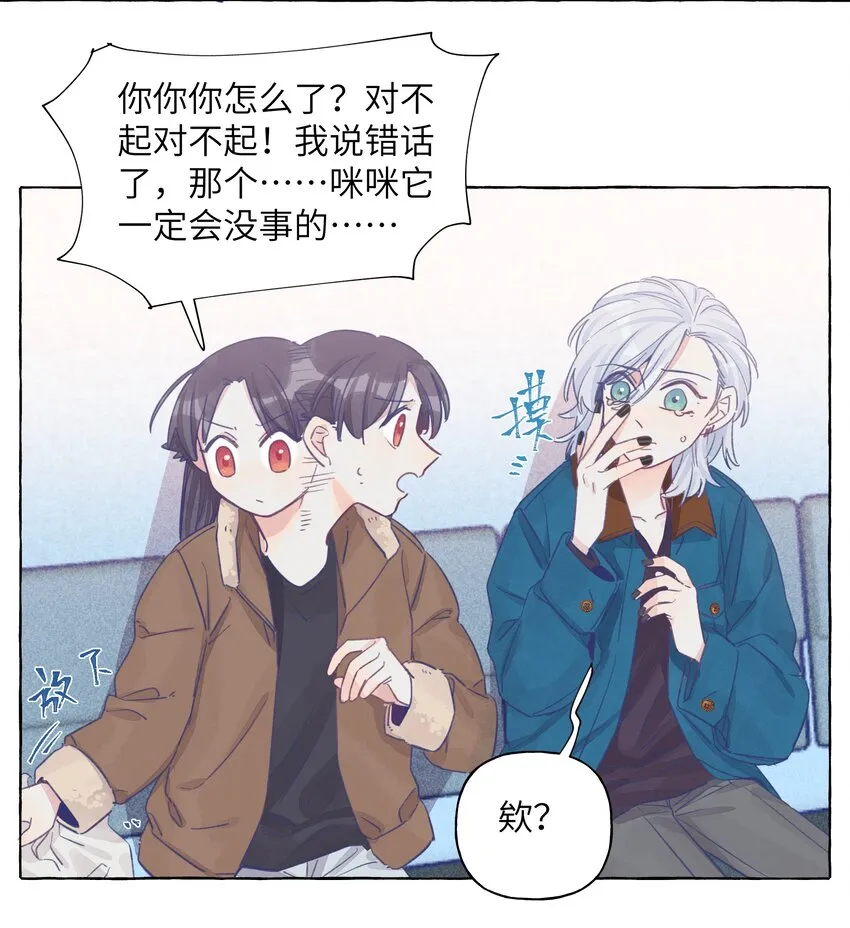 024 流浪猫的秘密 第3页