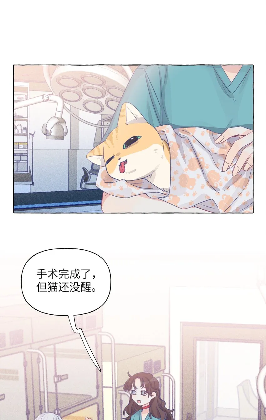 024 流浪猫的秘密 第15页