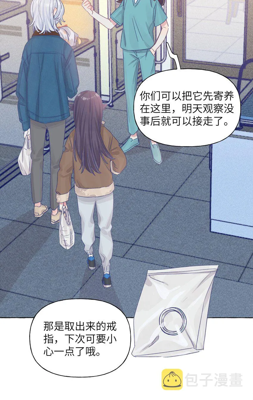024 流浪猫的秘密 第16页