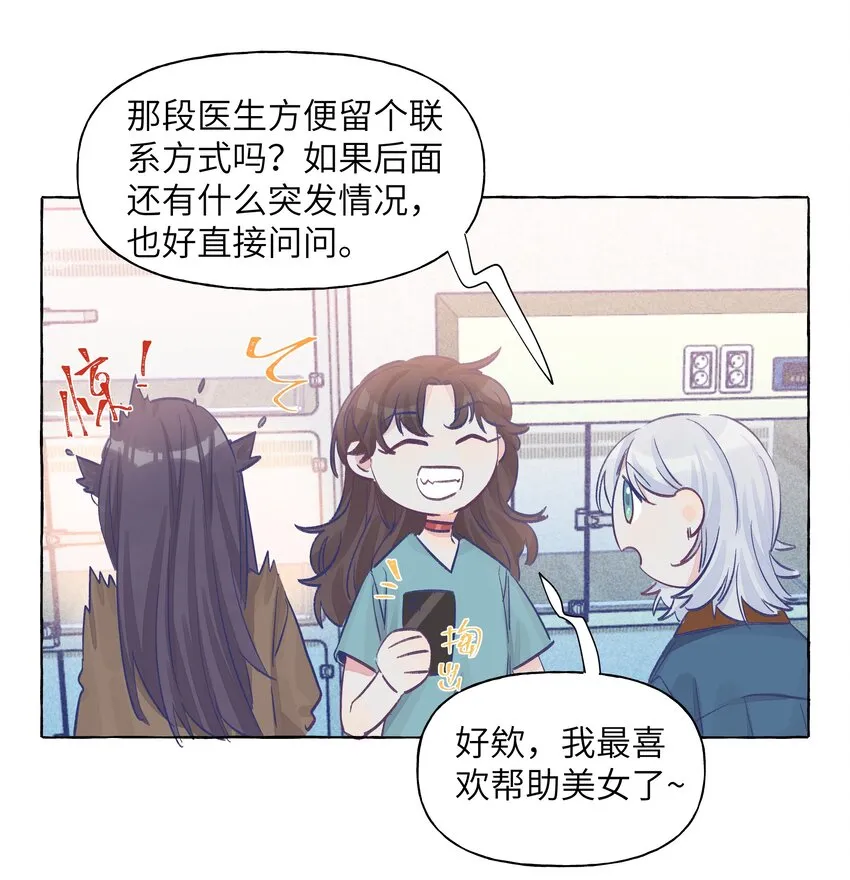 024 流浪猫的秘密 第19页