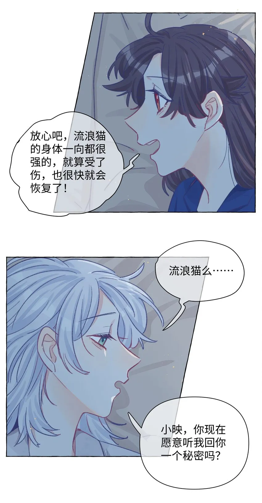 024 流浪猫的秘密 第34页