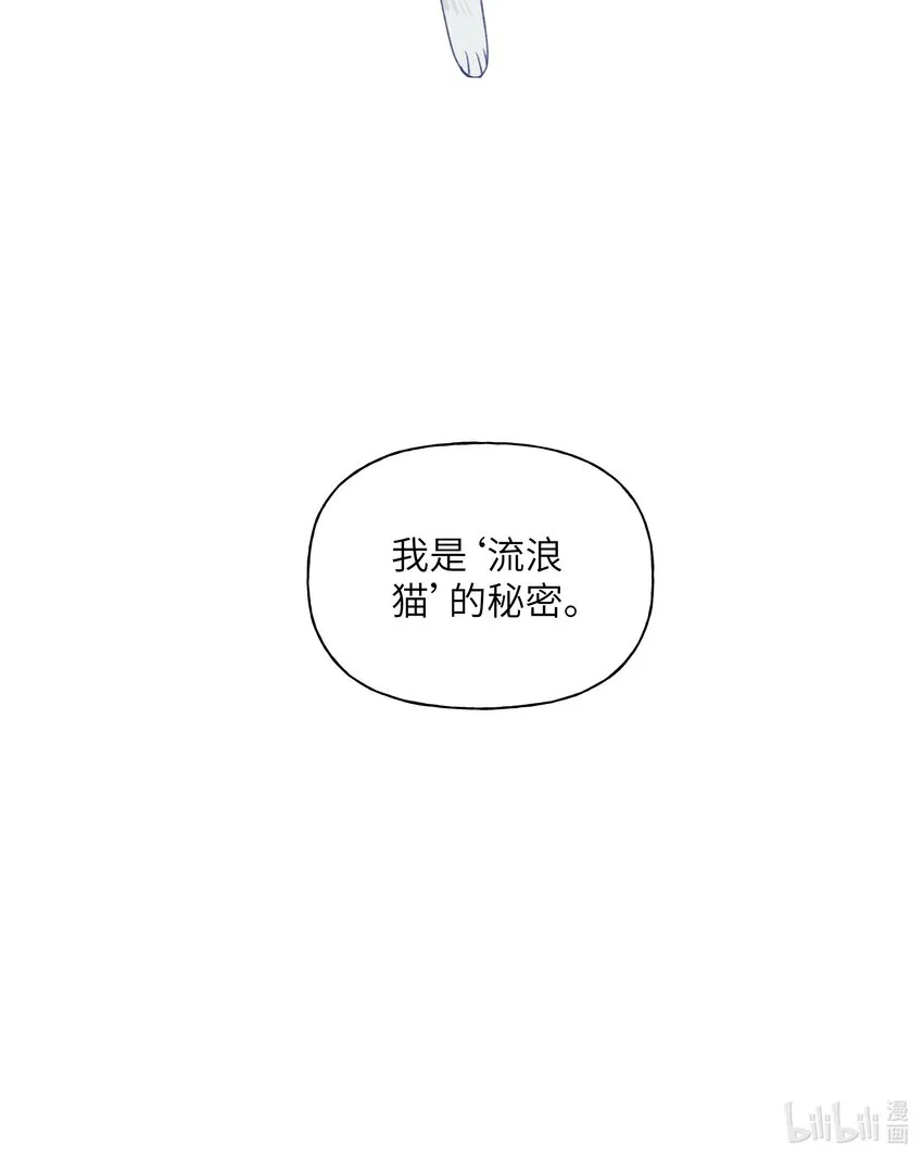 024 流浪猫的秘密 第37页