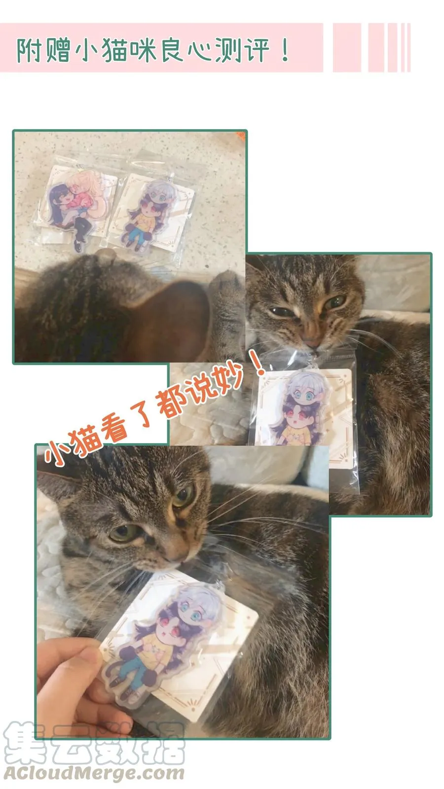 044 我不习惯 第33页