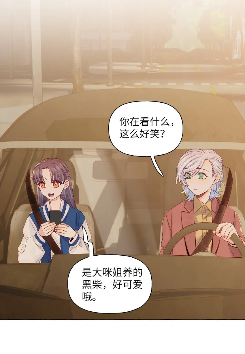 047 感情红绿灯 第19页