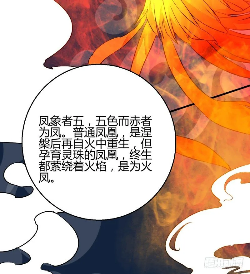 四灵珠 第17页