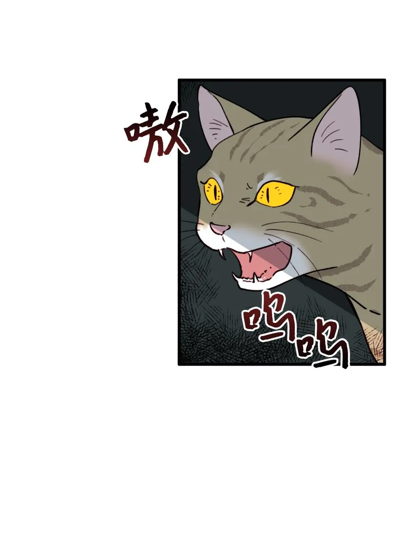 004 记忆中的男人 第33页