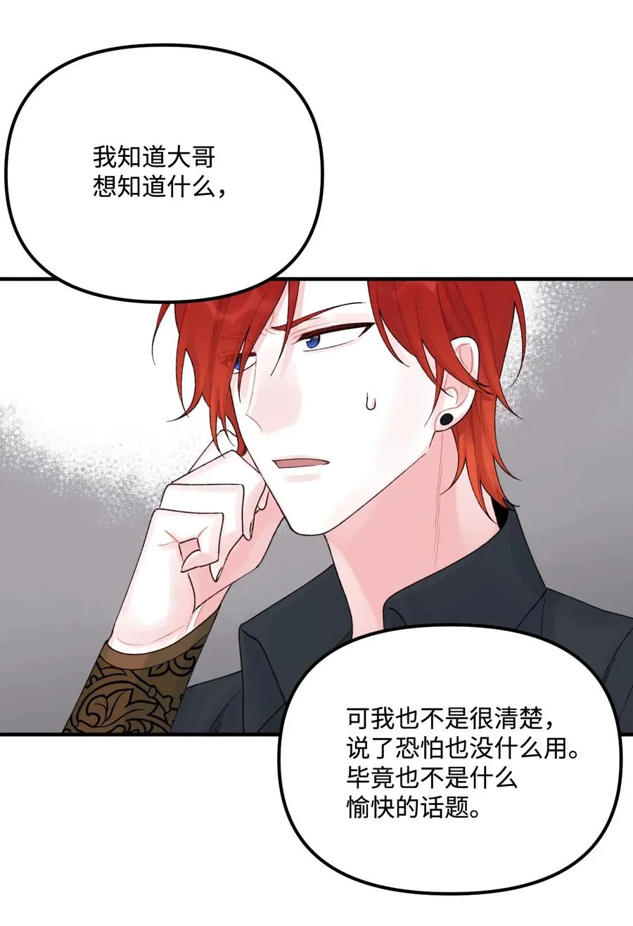 31 神秘的亚尔族 第27页