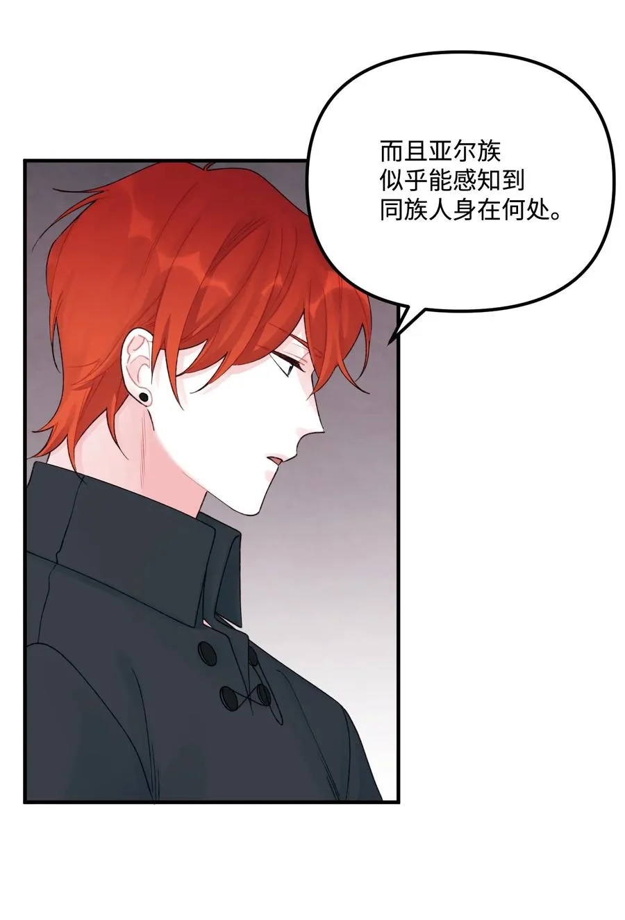 31 神秘的亚尔族 第47页