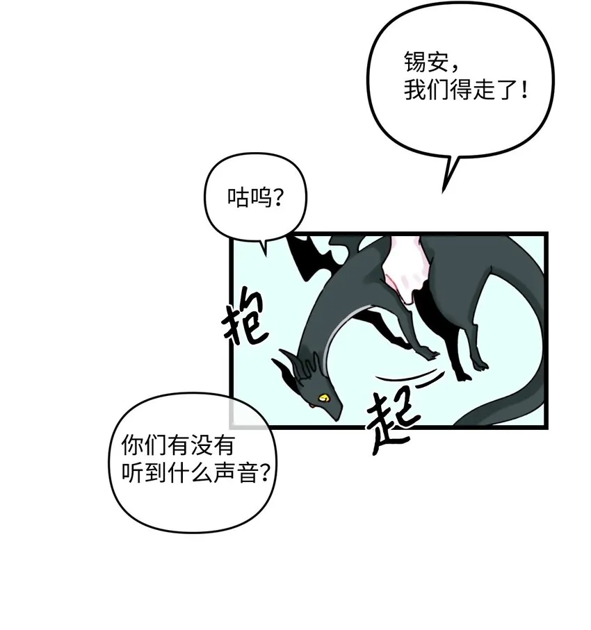 002 我讨厌金发 第12页
