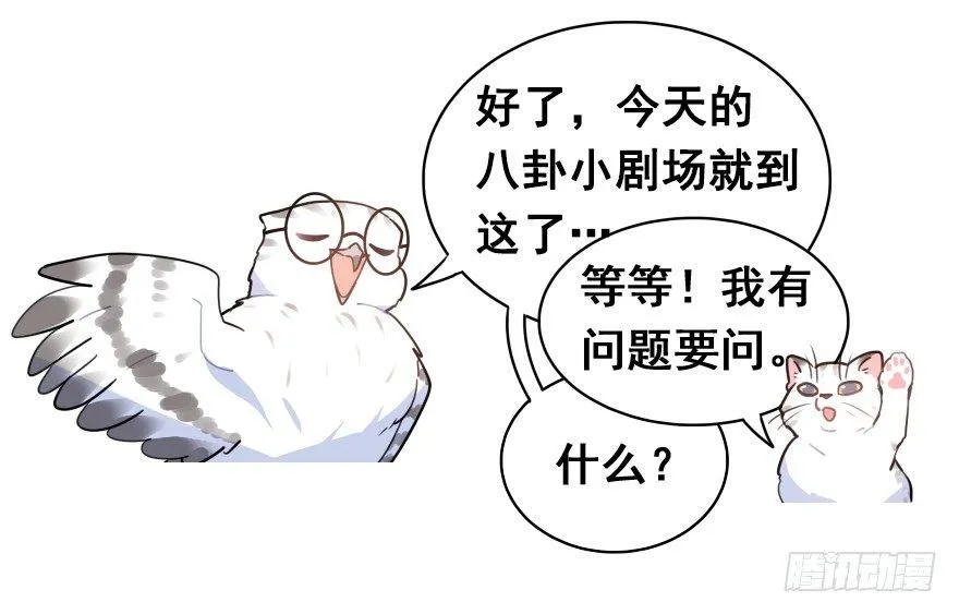 番外篇：神辅八卦小剧场 第17页
