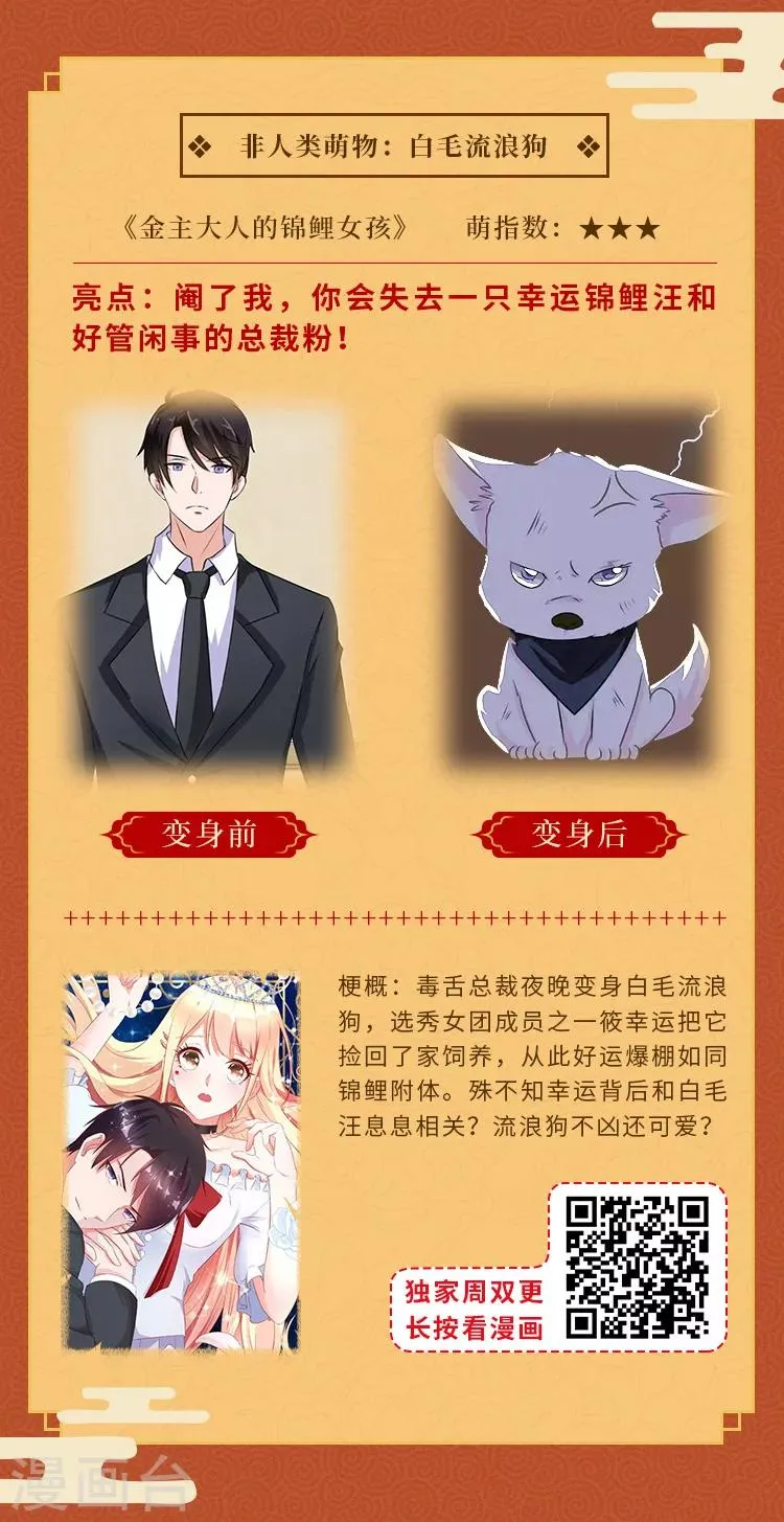 元宵同萌会，非人类家族陪你闹元宵 第3页
