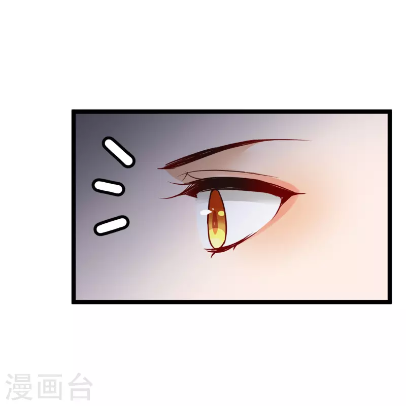 第65话 担心的王爷 第13页