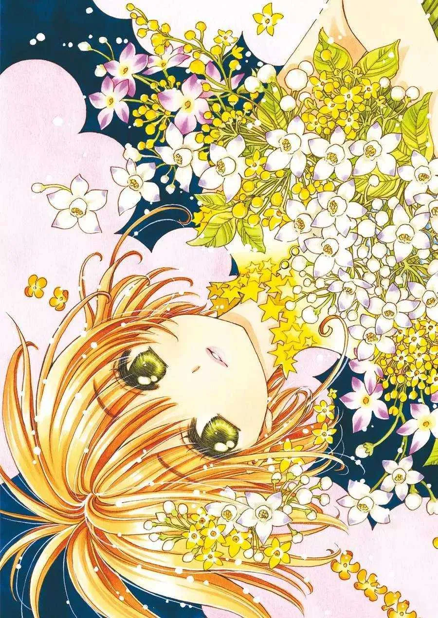 CLEAR CARD篇 29 第2页