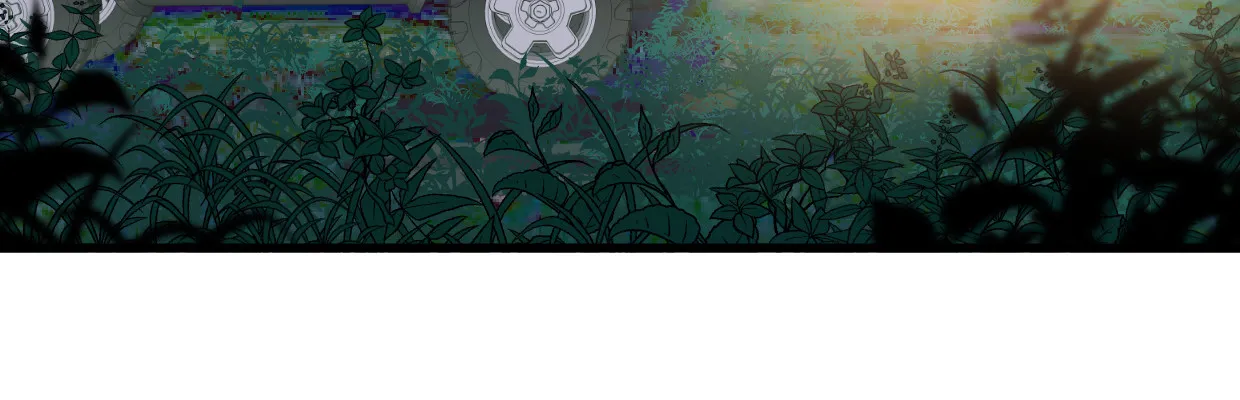 鳞片 第38页