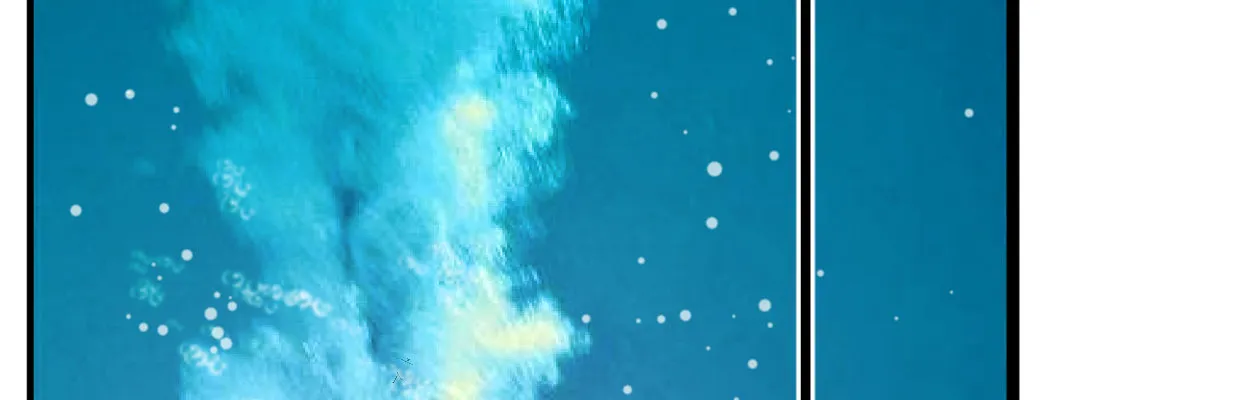 鳞片 第62页