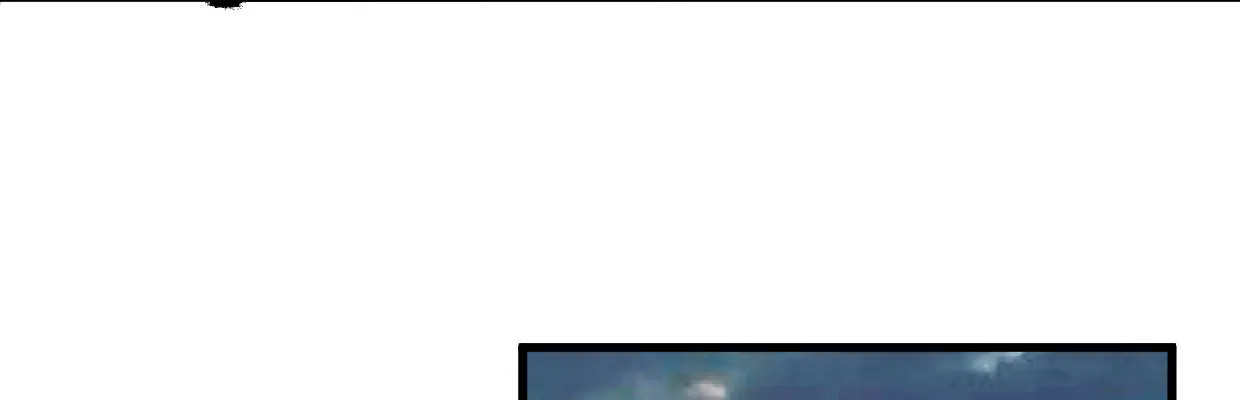 鳞片 第120页