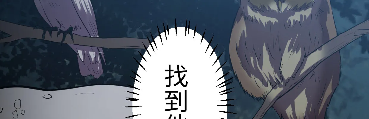 补给 第138页