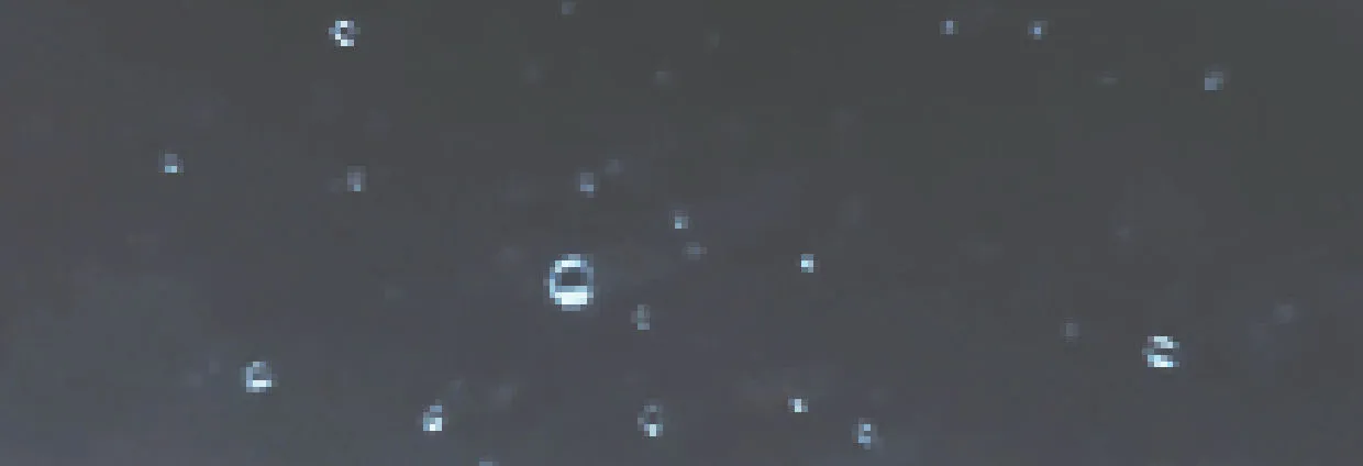 湮灭 第171页
